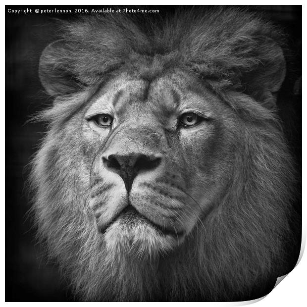 His Majesty Print by Peter Lennon