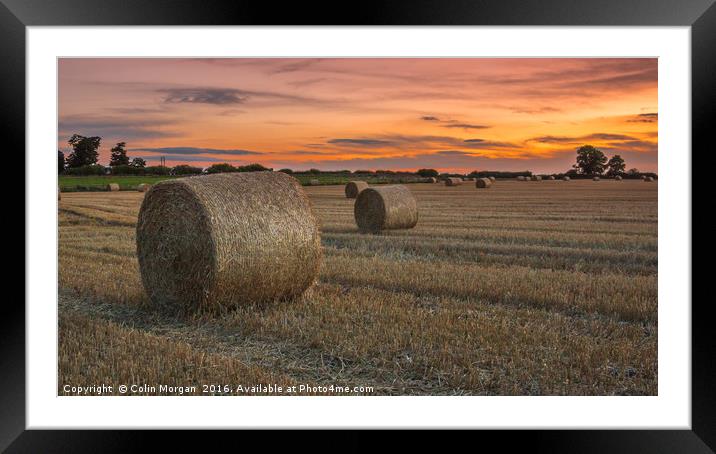 Harvest Sunset Framed Mounted Print by Colin Morgan