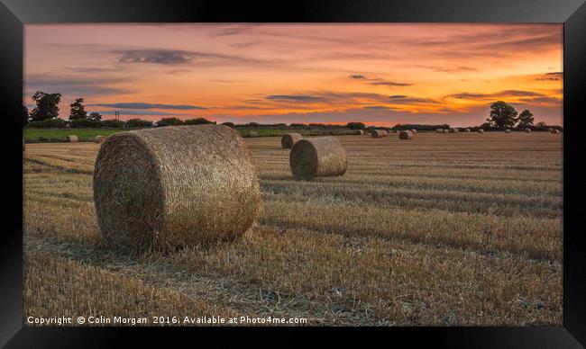 Harvest Sunset Framed Print by Colin Morgan