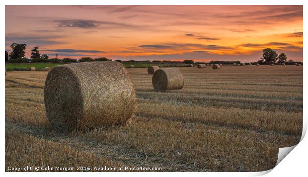 Harvest Sunset Print by Colin Morgan