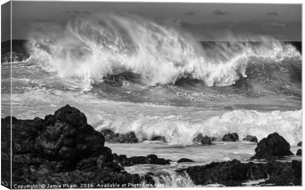The large and spectacular waves at Hookipa Beach  Canvas Print by Jamie Pham