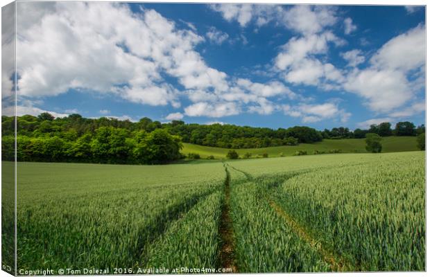 Fields of Kent Canvas Print by Tom Dolezal