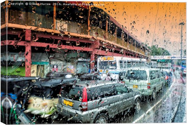 Sri Lanka's Vibrant Monsoon Season Canvas Print by Gilbert Hurree