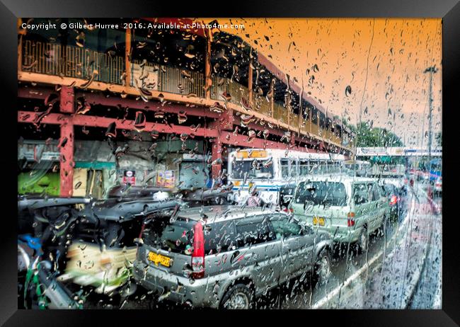 Sri Lanka's Vibrant Monsoon Season Framed Print by Gilbert Hurree