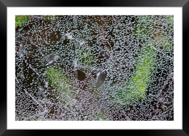 Dew pearl web Framed Mounted Print by Ivan Kovacs
