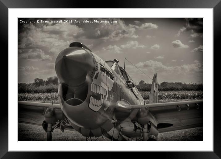 Curtis P40 Kittyhawk -  " LULU BELLE " Framed Mounted Print by Shaun Westell