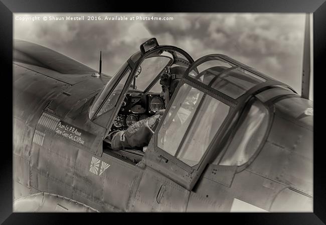Curtis P40 Kittyhawk -  