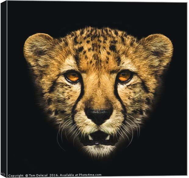 Cheetah portrait Canvas Print by Tom Dolezal