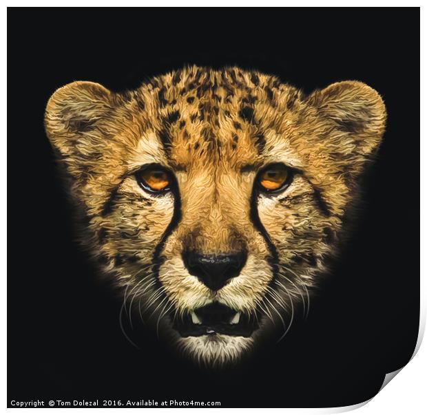 Cheetah portrait Print by Tom Dolezal