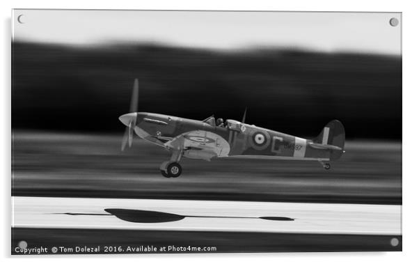 Spitfire silhouette  Acrylic by Tom Dolezal