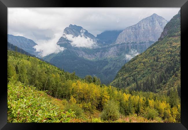 A Taste of Things to Come - Glacier NP Framed Print by Belinda Greb