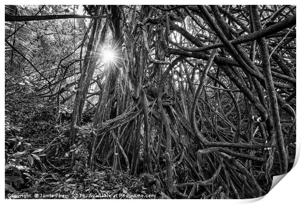 The Jungles of Nahiku on the Hawaiian Island of Ma Print by Jamie Pham