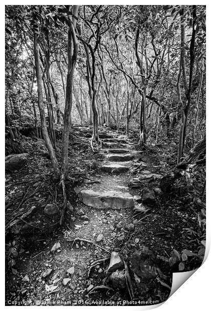 The hike on the Pipiwai Trail in Maui. Print by Jamie Pham