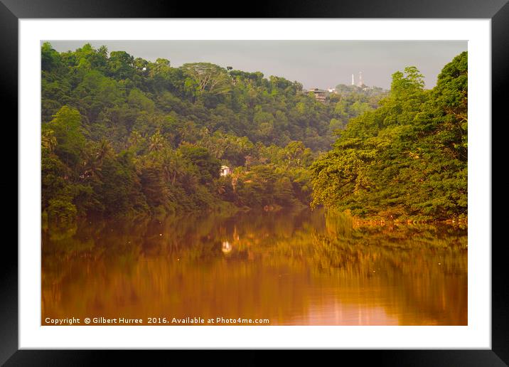 Captivating Kandy: Sri Lanka's Spice-Laden River Framed Mounted Print by Gilbert Hurree