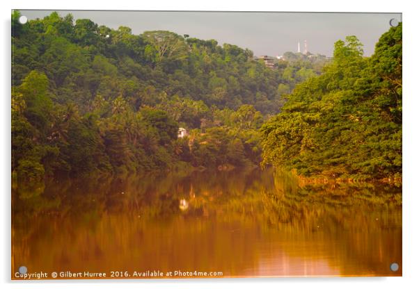Captivating Kandy: Sri Lanka's Spice-Laden River Acrylic by Gilbert Hurree