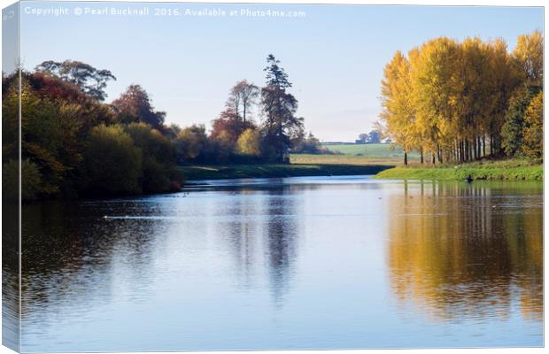 Tranquil Tweed Autumn Reflections  Canvas Print by Pearl Bucknall