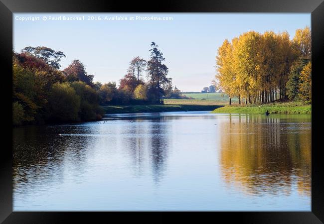 Tranquil Tweed Autumn Reflections  Framed Print by Pearl Bucknall