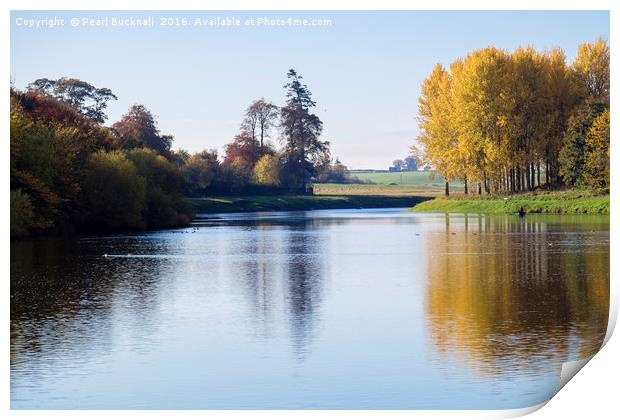 Tranquil Tweed Autumn Reflections  Print by Pearl Bucknall