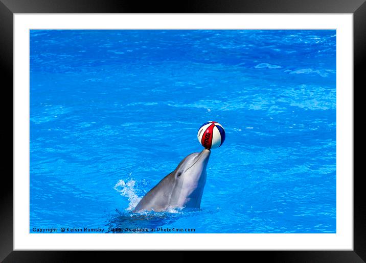dolphin display Framed Mounted Print by Kelvin Rumsby