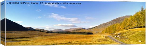 The road to Corrieyairack Pass - Newtonmore - Canvas Print by Peter Gaeng