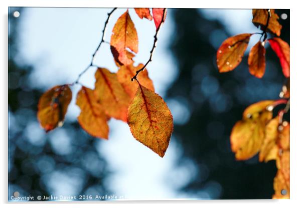 Autumn Blues Acrylic by Jackie Davies