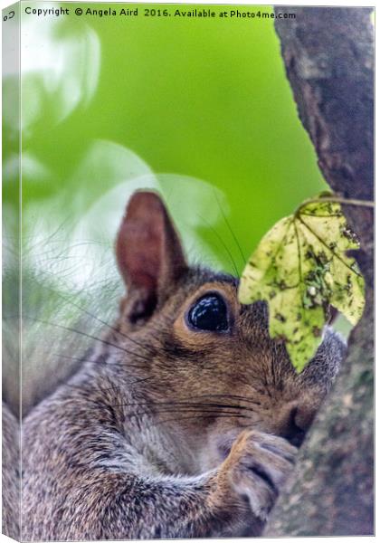 I See You.  Canvas Print by Angela Aird