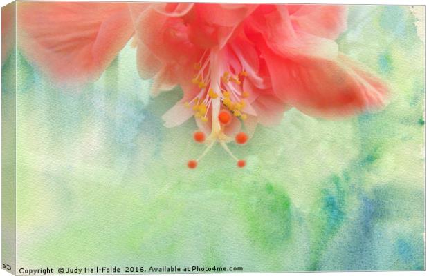 Sofly Colored Canvas Print by Judy Hall-Folde