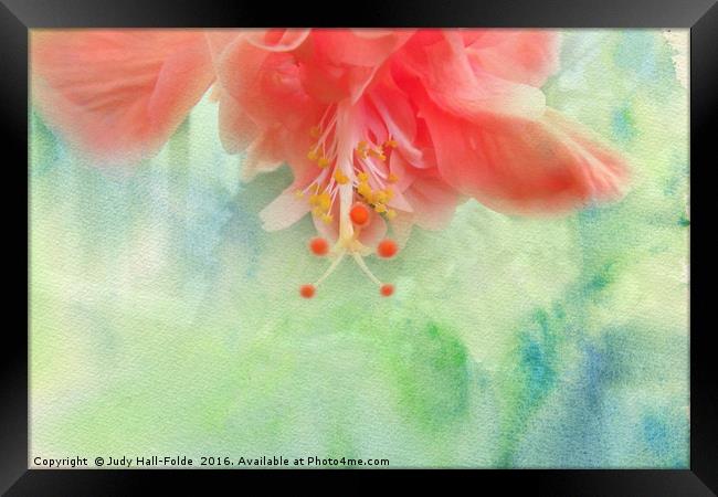 Sofly Colored Framed Print by Judy Hall-Folde