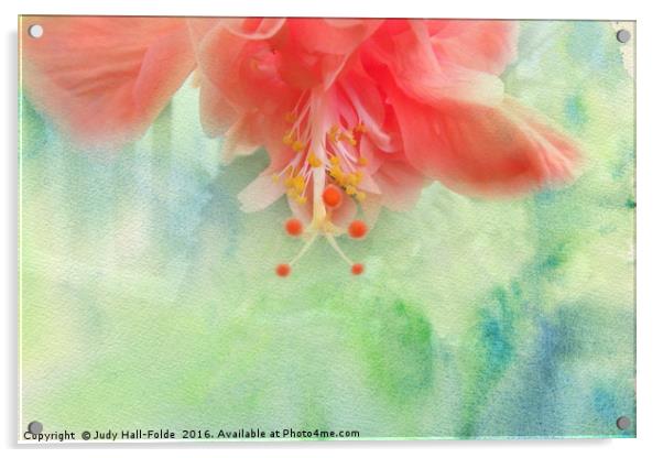 Sofly Colored Acrylic by Judy Hall-Folde