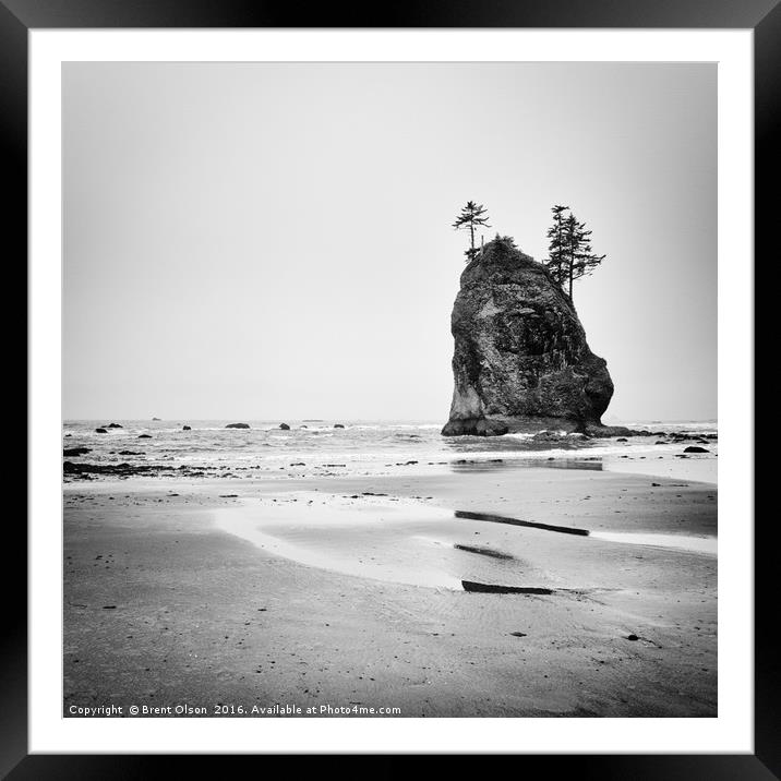 Olympic Coast Framed Mounted Print by Brent Olson