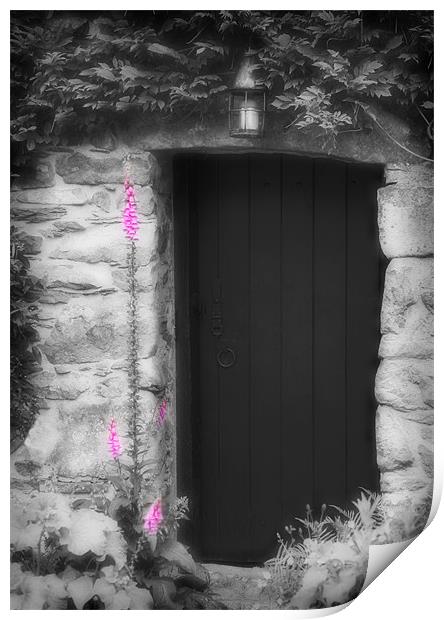 THE SECRET DOOR Print by Anthony R Dudley (LRPS)