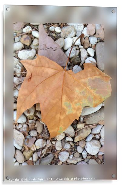 a rusty leaf on pebbles Acrylic by Marinela Feier