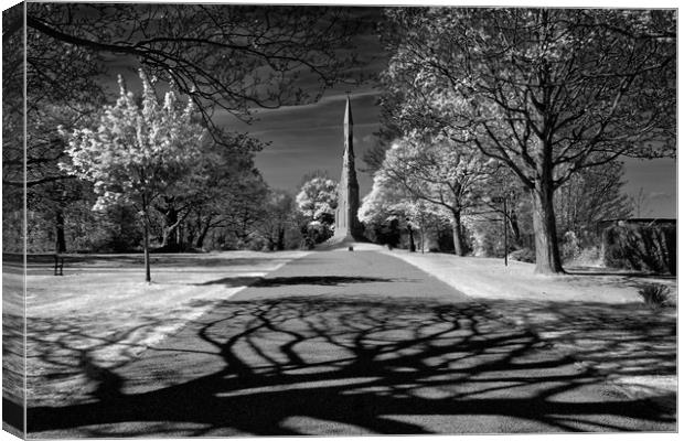 Cholera Monument, Infra Red                        Canvas Print by Darren Galpin