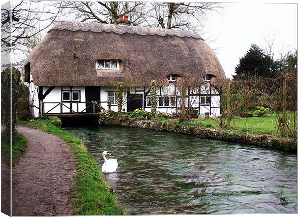 Old Mill Cottage - Alresford, Hampshire Canvas Print by Donna Collett