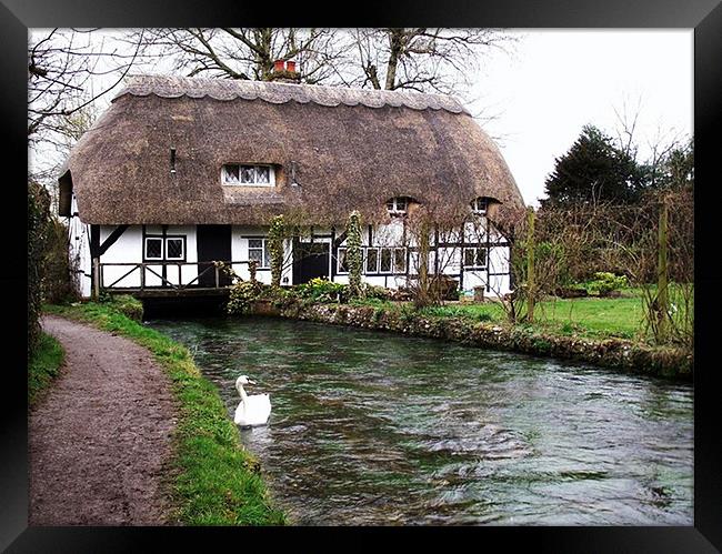 Old Mill Cottage - Alresford, Hampshire Framed Print by Donna Collett