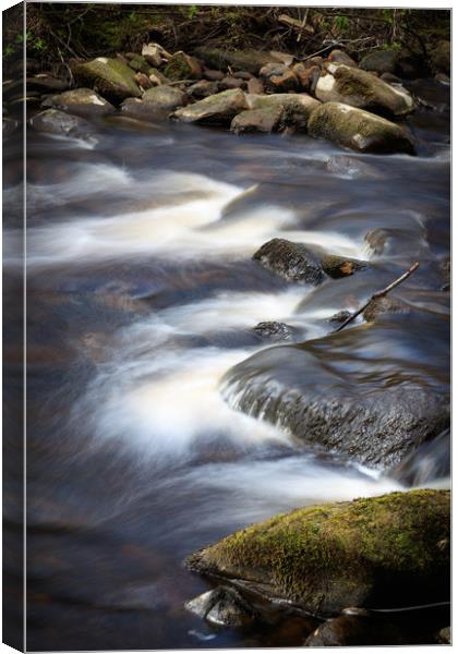Flowing stream    Canvas Print by chris smith