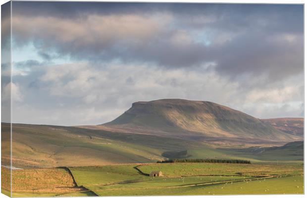 Yorkshire Dales      Canvas Print by chris smith