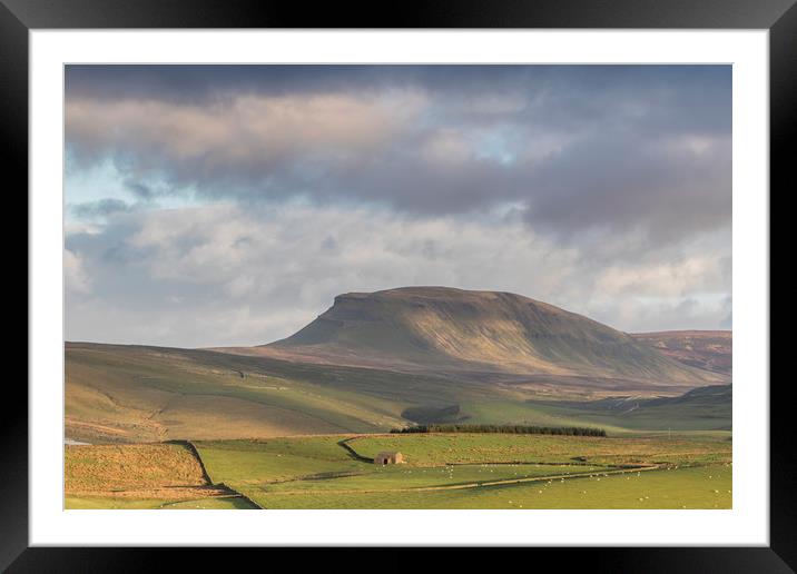 Yorkshire Dales      Framed Mounted Print by chris smith