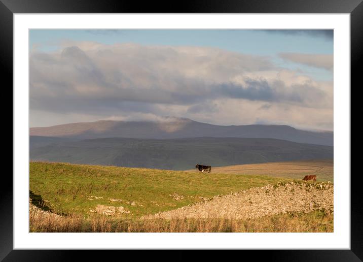 Yorkshire Dales       Framed Mounted Print by chris smith