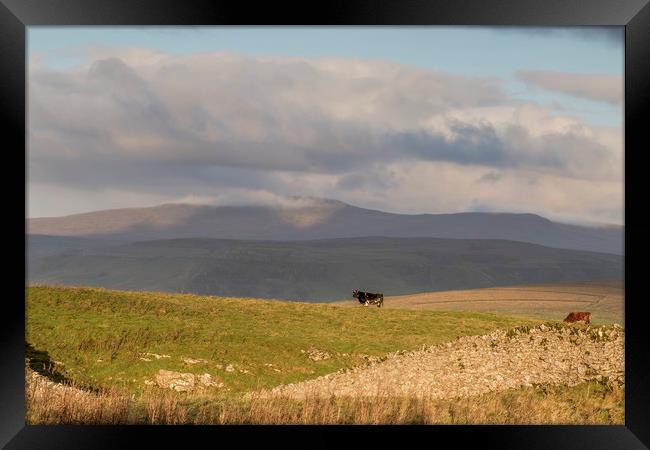 Yorkshire Dales       Framed Print by chris smith