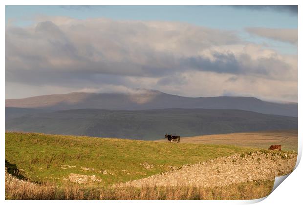 Yorkshire Dales       Print by chris smith