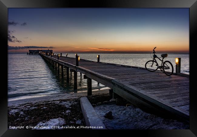 The Dawn Cyclist Framed Print by Neal P