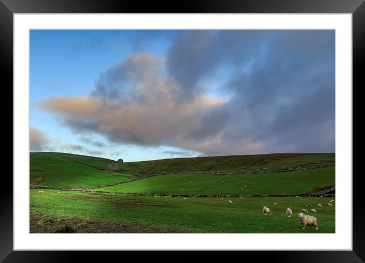 Yorkshire Dales       Framed Mounted Print by chris smith