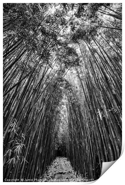 The magical and mysterious bamboo forest of Maui. Print by Jamie Pham