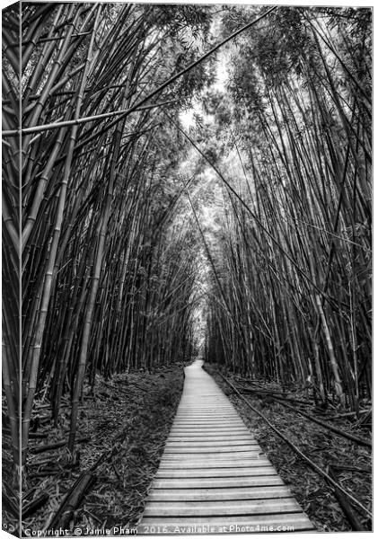 The magical and mysterious bamboo forest of Maui. Canvas Print by Jamie Pham