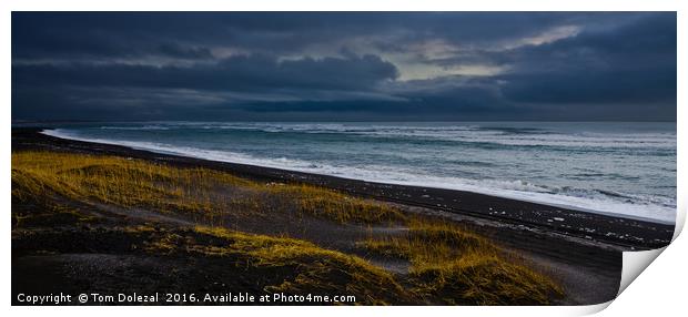 Ice on a black Icelandic beach Print by Tom Dolezal