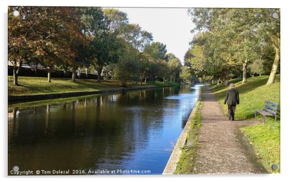 Walker along Hythe Canal Acrylic by Tom Dolezal