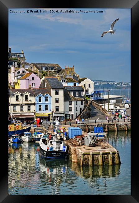 Part of Brixham harbour Framed Print by Frank Irwin