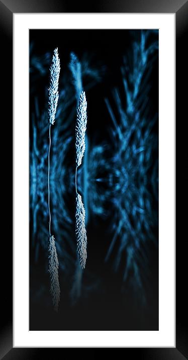 grass reflection blue - slim Framed Mounted Print by Donna Collett