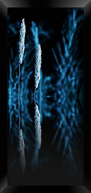 grass reflection blue - slim Framed Print by Donna Collett